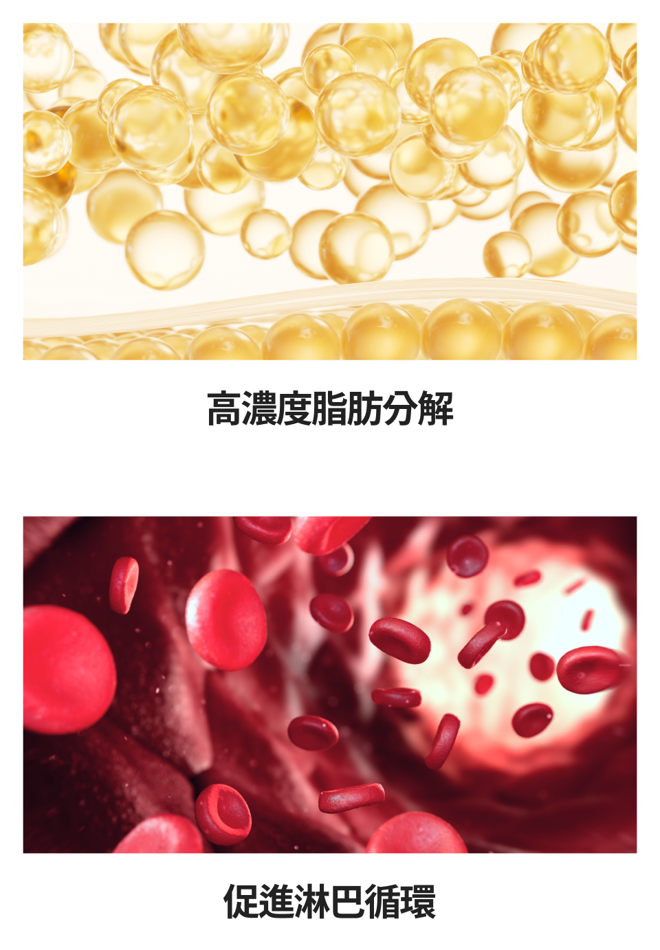手機版輪廓針溶脂·促進淋巴循環說明圖片