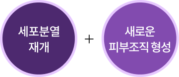 리엔셀 피부주사 역노화 안티에이징 이미지