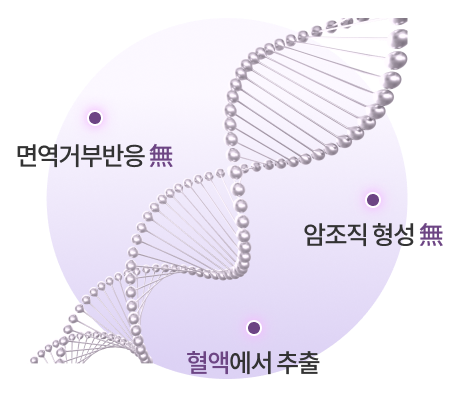 성체 줄기세포 성장인자 추출 기술력 설명 이미지