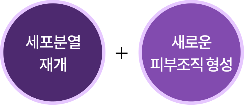 리엔셀 피부주사 모바일 역노화 안티에이징 이미지
